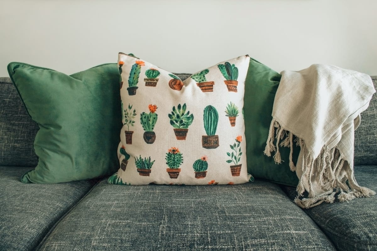CrazyAuction item Cactus pillow